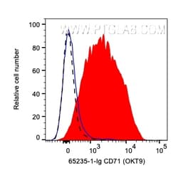 Anti-Human CD71 (OKT9), Proteintech:Antibodies:Primary Antibodies