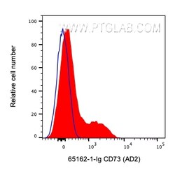 Anti-Human CD73 (AD2), Proteintech:Antibodies:Primary Antibodies