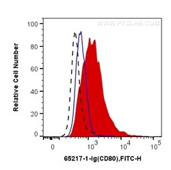 Anti-Rat CD80/B7-1 (3H5), Proteintech Unconjugated; 100 &mu;g:Antibodies,