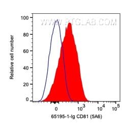 Anti-Human CD81 (5A6), Proteintech:Antibodies:Primary Antibodies