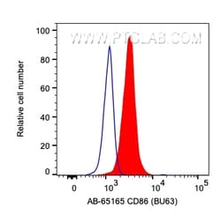 Atlantic Blue Anti-Human CD86 (BU63), Proteintech Atlantic Blue&trade;;