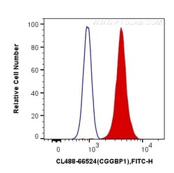 CoraLite Plus 488-conjugated CGGBP1 Mouse Monoclonal Antibody, Proteintech:Antibodies:Primary