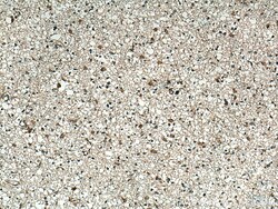 CHN1 Rabbit Polyclonal Antibody, Proteintech:Antibodies:Primary Antibodies