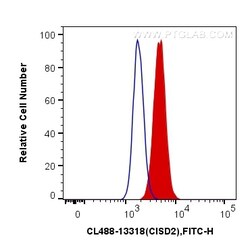 CoraLite Plus 488-conjugated CISD2 Rabbit Polyclonal Antibody, Proteintech:Antibodies:Primary