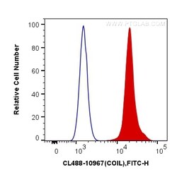 CoraLite Plus 488-conjugated Coilin Rabbit Polyclonal Antibody, Proteintech 100 &mu;L | Buy Online | Proteintech | Fisher Scientific