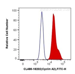 CoraLite Plus 488-conjugated Cyclin A2 Rabbit Polyclonal Antibody, Proteintech
