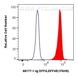 DFFA,DFF45 Mouse Monoclonal Antibody, Proteintech Unconjugated; 20 &mu;L:Antibodies,