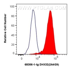 DHX32 Mouse Monoclonal Antibody, Proteintech:Antibodies:Primary Antibodies