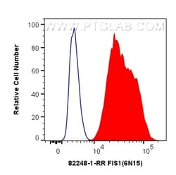FIS1 Rabbit Recombinant Antibody, Proteintech:Antibodies:Primary Antibodies