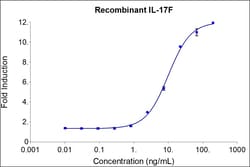 Proteintech HumanKine Recombinant Human IL-17F Protein 10 &mu;g | Buy Online | Proteintech&trade; | Fisher Scientific
