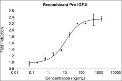 Proteintech™ HumanKine™ Recombinant Human Pro IGF-II Protein