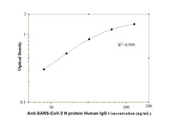 Proteintech Anti-SARS-CoV-2 N Protein Human IgG ELISA Utrustning 1 x 96-brunnars tallrik | Buy Online | Proteintech&trade; | Fisher Scientific