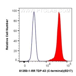 TDP-43 (C-terminal) Rabbit Recombinant Antibody, Proteintech:Antibodies:Primary