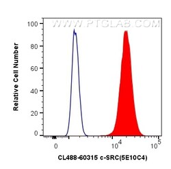 CoraLite Plus 488-conjugated c-SRC Mouse Monoclonal Antibody, Proteintech:Antibodies:Primary