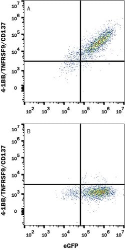 Human 4-1BB/TNFRSF9/CD137 Antibody, R D Systems 100 &mu;g | Buy Online | R&D Systems | Fisher Scientific