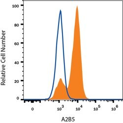 Human/Mouse/Rat/Chicken A2B5 Alexa Fluor 488-conjugated Antibody, R D Systems