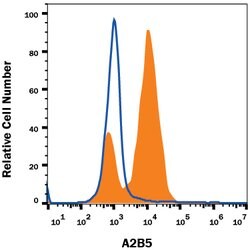 Human/Mouse/Rat/Chicken A2B5 Antibody, R D Systems 25&mu;g; Unlabeled:Antibodies,