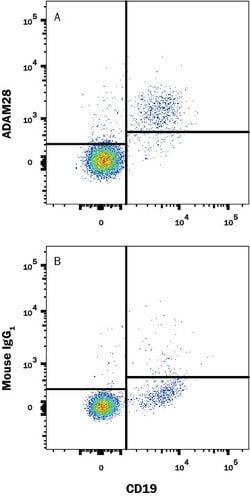 Human ADAM28 Antibody, R D Systems:Antibodies:Primary Antibodies
