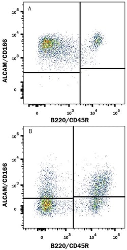 Mouse ALCAM/CD166 Alexa Fluor 700-conjugated Antibody, R D Systems 100