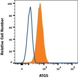 Human/Mouse/Rat ATG5 Alexa Fluor 594-conjugated Antibody, R D Systems 100 &mu;g | Buy Online | R&D Systems | Fisher Scientific