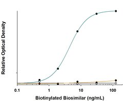 Anti- Adalimumab (Anti-Idiotype) Antibody, R D Systems 25&mu;g:Antibodies,