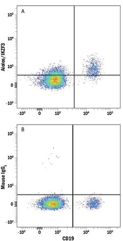 Human Aiolos/IKZF3 Alexa Fluor 647-conjugated Antibody, R D Systems 100 &mu;g | Buy Online | R&D Systems | Fisher Scientific