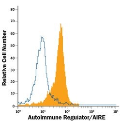 Mouse Autoimmune Regulator/AIRE Alexa Fluor 488-conjugated Antibody, R