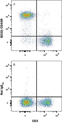 Mouse B220/CD45R Biotinylated Antibody, R D Systems 250 &mu;g | Buy Online | R&D Systems | Fisher Scientific