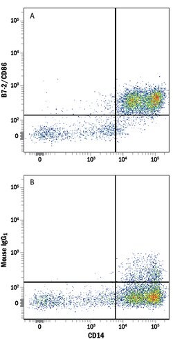 Human B7-2/CD86 Alexa Fluor 700-conjugated Antibody, R D Systems 100 &mu;g;