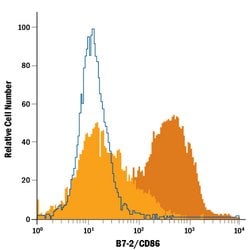 Mouse B7-2/CD86 Alexa Fluor 488-conjugated Antibody, R D Systems 100 &mu;g;