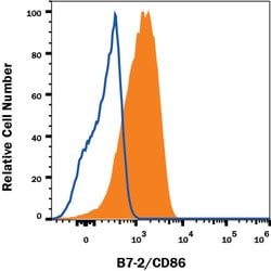 Human B7-2/CD86 Antibody, R D Systems 500&mu;g; Unlabeled:Antibodies, Monoclonal