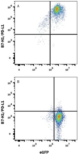 Mouse PD-L1/B7-H1 Antibody, R D Systems:Antibodies:Primary Antibodies