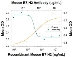 Mouse B7-H2 Antibody, R D Systems 100 &mu;g; Unconjugated:Antibodies, Monoclonal