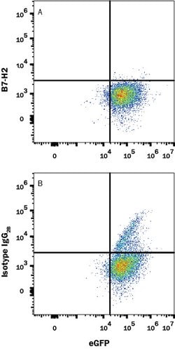 Mouse B7-H2 Antibody, R D Systems:Antibodies:Primary Antibodies