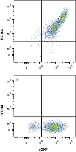 Human B7-H4 Antibody, R D Systems 100ug; Unlabeled:Antibodies, Monoclonal