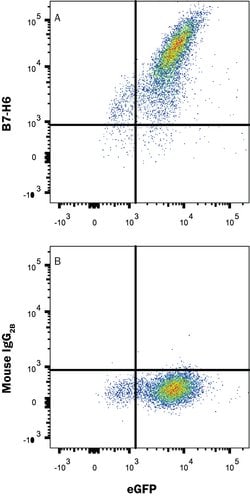 Human/Cynomolgus Monkey B7-H6 Antibody, R D Systems 25 &mu;g | Buy Online | R&D Systems | Fisher Scientific