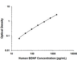 Human BDNF Antibody, R D Systems 500&mu;g; Unlabeled:Antibodies, Monoclonal