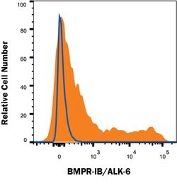 Human BMPR-IB/ALK-6 APC-conjugated Antibody, R D Systems 100 Tests | Buy Online | R&D Systems | Fisher Scientific