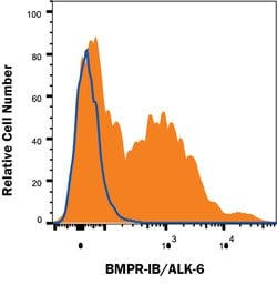 Human BMPR-IB/ALK-6 Antibody, R D Systems 100ug; Unlabeled:Antibodies,