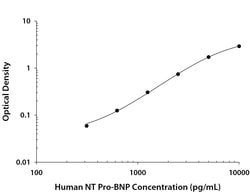 Human N-Terminal Pro-BNP Antibody, R D Systems 25 &mu;g; Unconjugated:Antibodies,