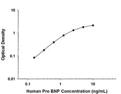 Human N-Terminal Pro-BNP Antibody, R D Systems:Antibodies:Primary Antibodies
