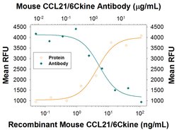 Mouse CCL21/6Ckine Antibody, R D Systems:Antibodies:Primary Antibodies