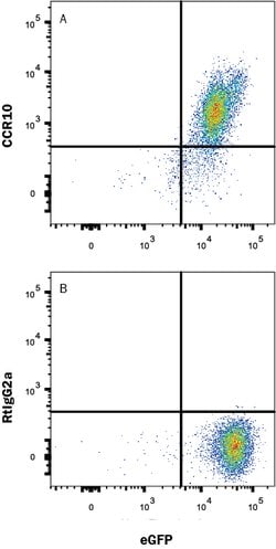 Human CCR10 Antibody, R D Systems:Antibodies:Primary Antibodies