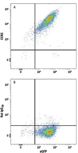 Mouse CCR2 Alexa Fluor 594-conjugated Antibody, R D Systems 100 Tests;
