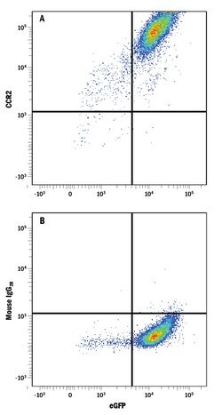 Rat CCR2 APC-conjugated Antibody, R D Systems 25 &mu;g | Buy Online | R&D Systems | Fisher Scientific