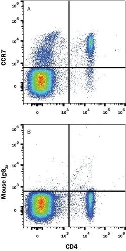 Human CCR7 Antibody, R D Systems 25&mu;g:Antibodies, Monoclonal