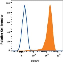 Human CCR9 Antibody, R D Systems 100&mu;g:Antibodies, Monoclonal