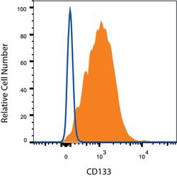 Mouse CD133 Antibody, R D Systems:Antibodies:Primary Antibodies