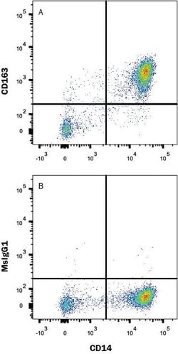 Human CD163 Antibody, R D Systems 25μg:Antibodies, Monoclonal