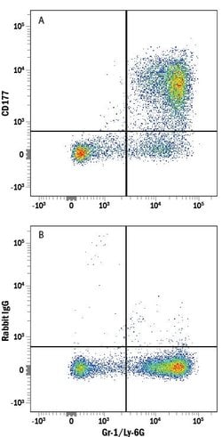 Mouse CD177 Alexa Fluor 647-conjugated Antibody, R D Systems 100 Tests:Antibodies,